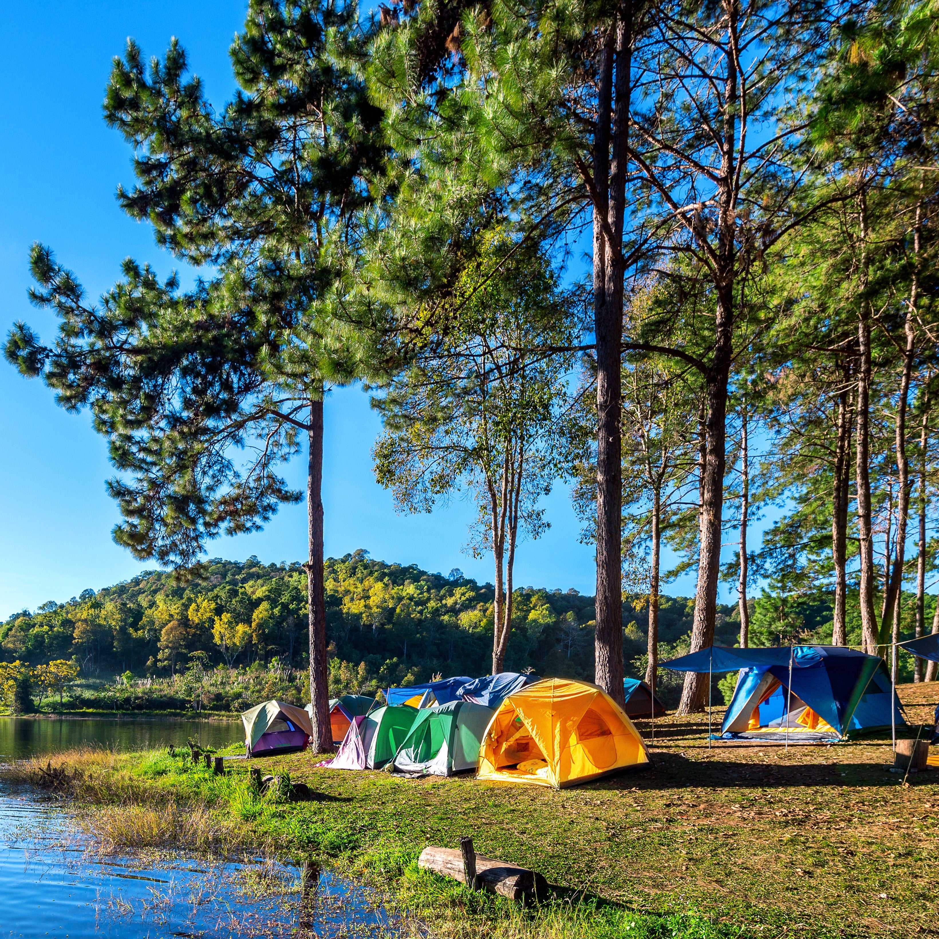 Tips for Making the Most of Summer Camps